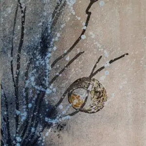 Coquille vide 1