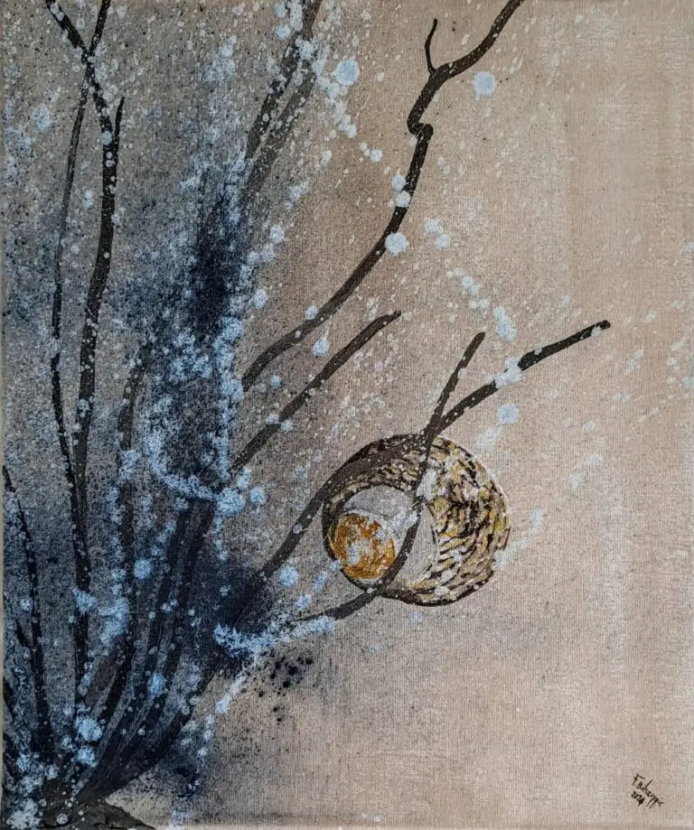 Coquille vide 1