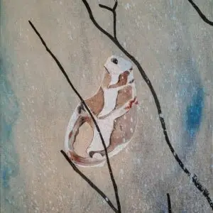 Coquille vide 2