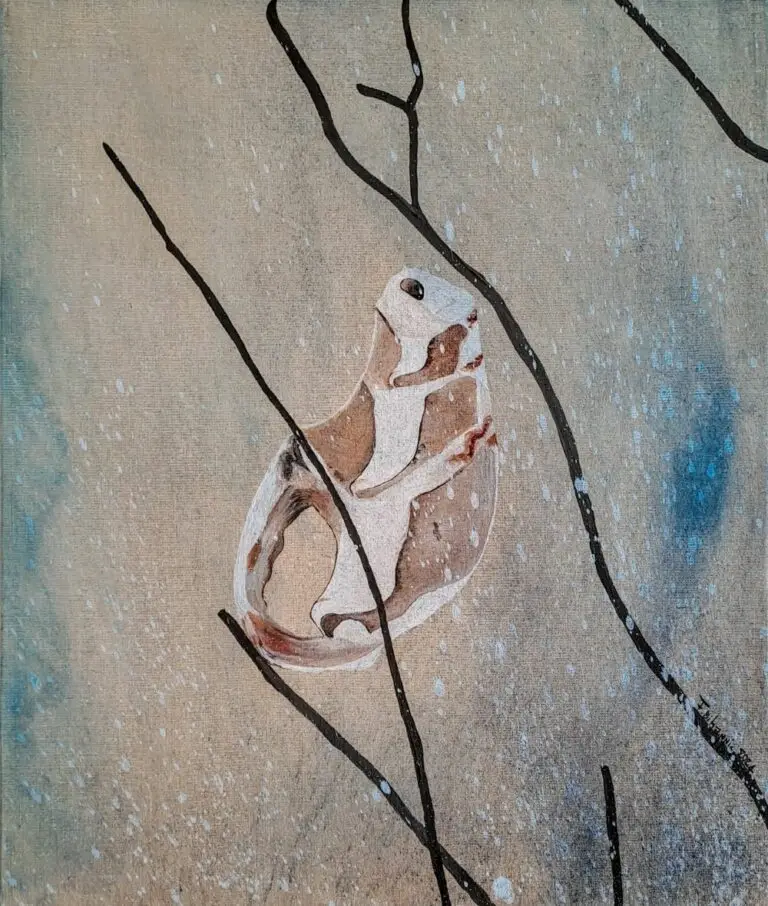 Coquille vide 2