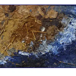 TERRE BLEUE